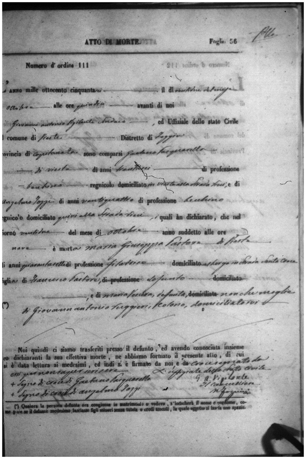 Document